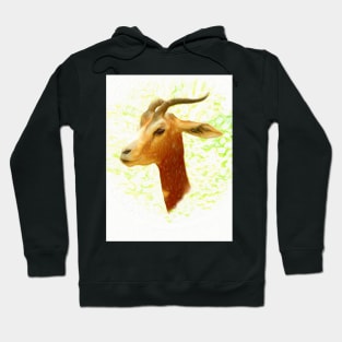 Dama gazelle Hoodie